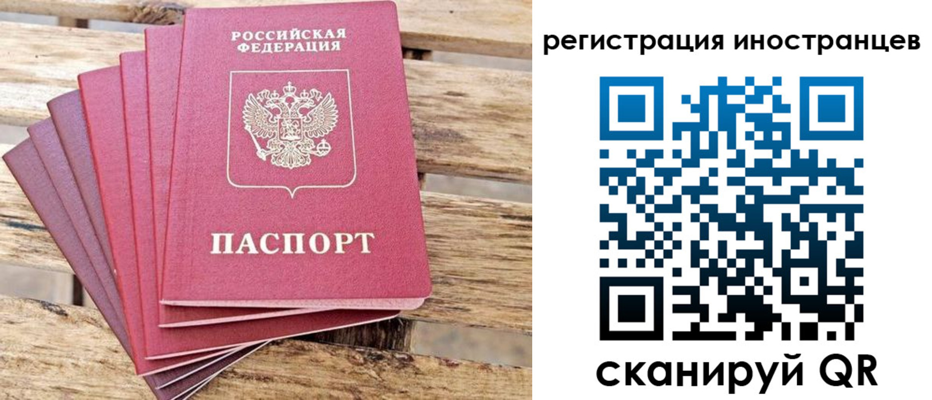 временная прописка в Мурманской области